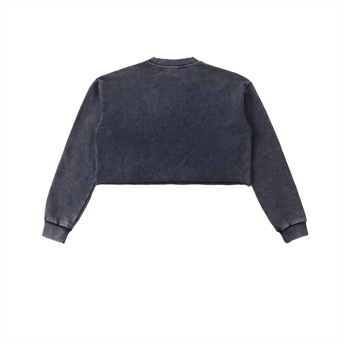 Snow Washed Raw Edge Cropped Sweatshirt