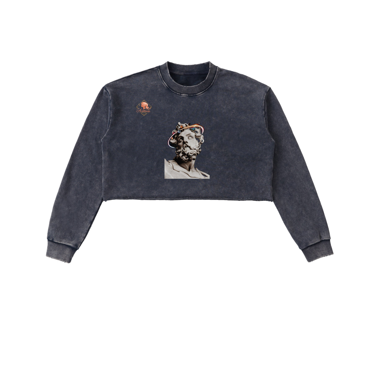 Snow Washed Raw Edge Cropped Sweatshirt