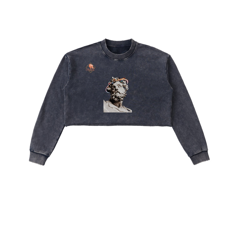 Snow Washed Raw Edge Cropped Sweatshirt