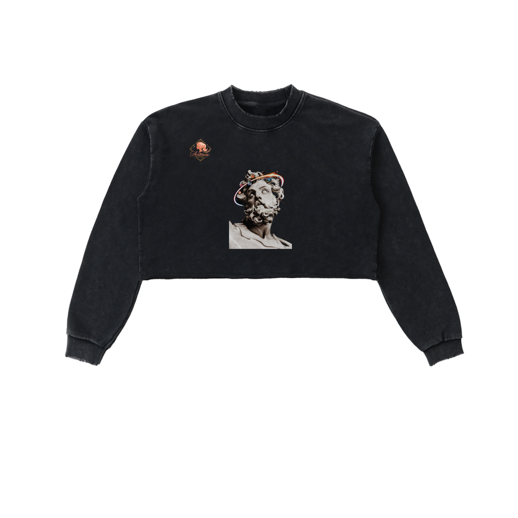 Snow Washed Raw Edge Cropped Sweatshirt