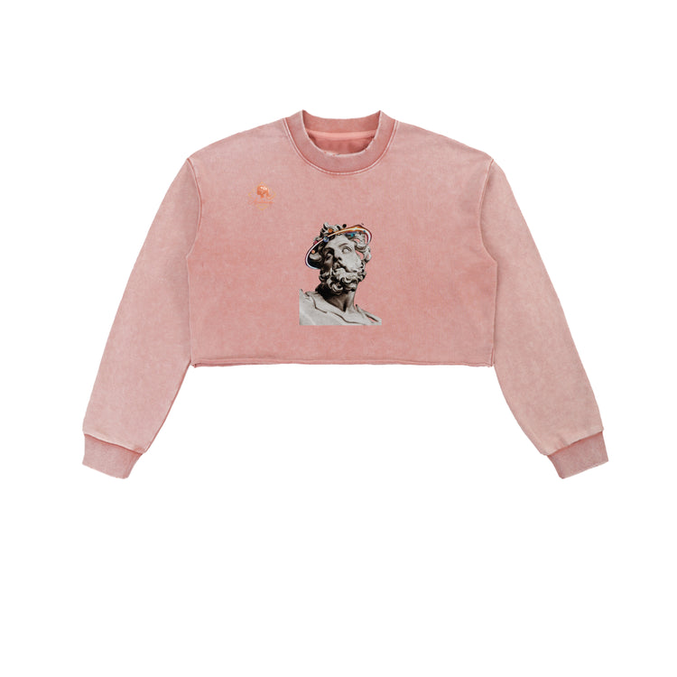 Snow Washed Raw Edge Cropped Sweatshirt