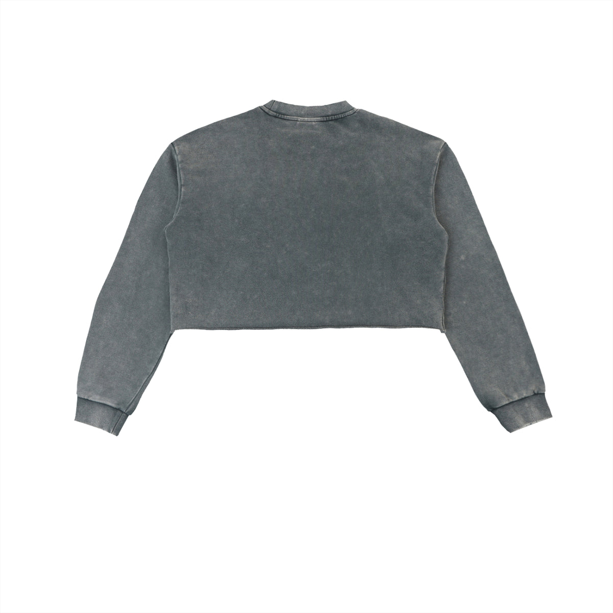 Snow Washed Raw Edge Cropped Sweatshirt