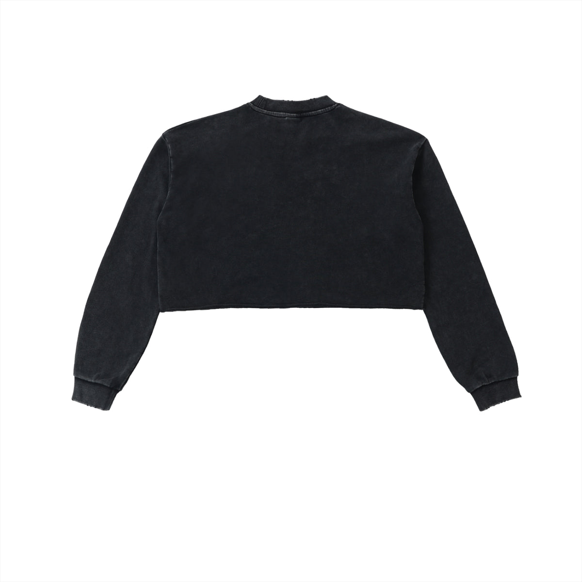 Snow Washed Raw Edge Cropped Sweatshirt