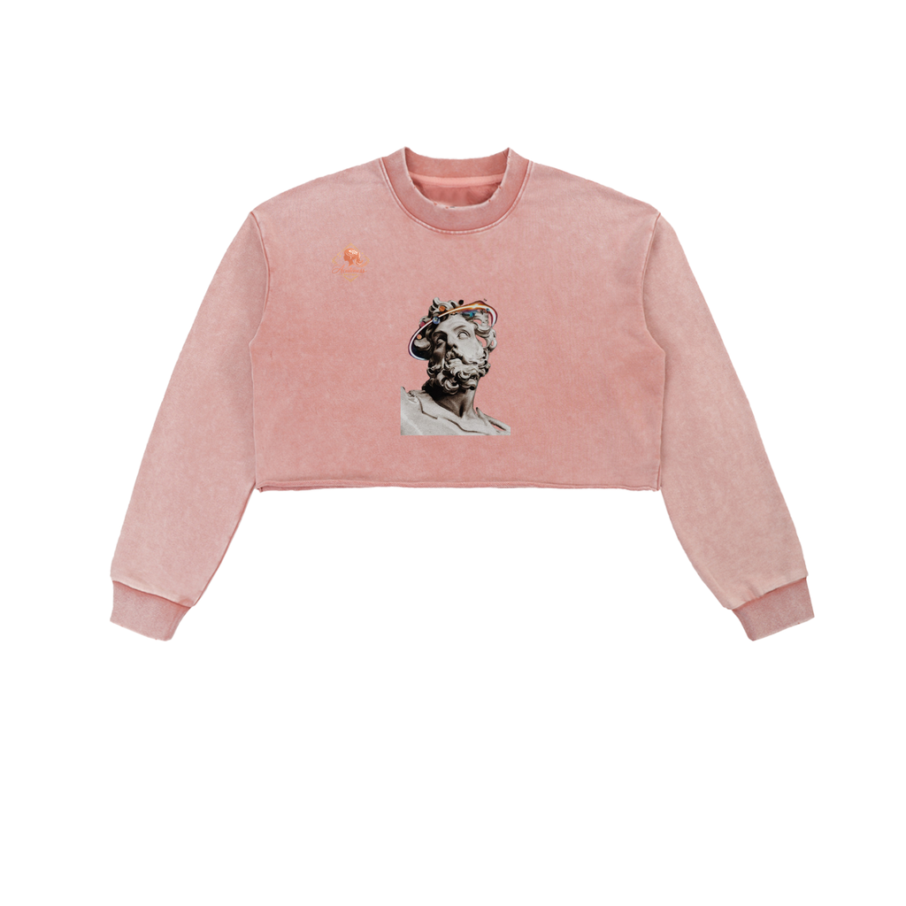 Snow Washed Raw Edge Cropped Sweatshirt