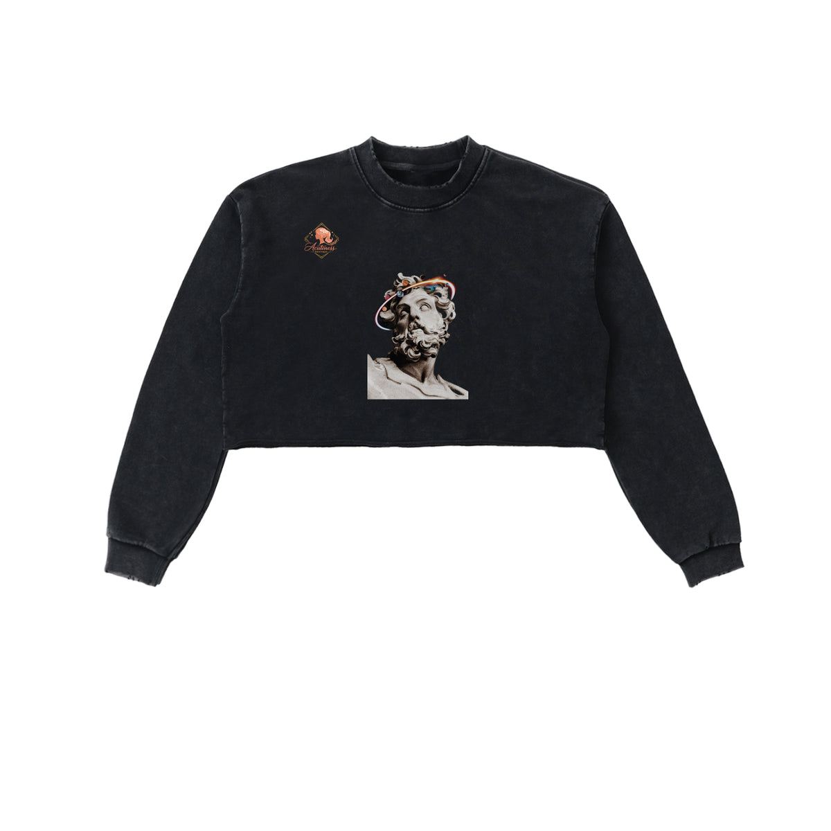 Snow Washed Raw Edge Cropped Sweatshirt