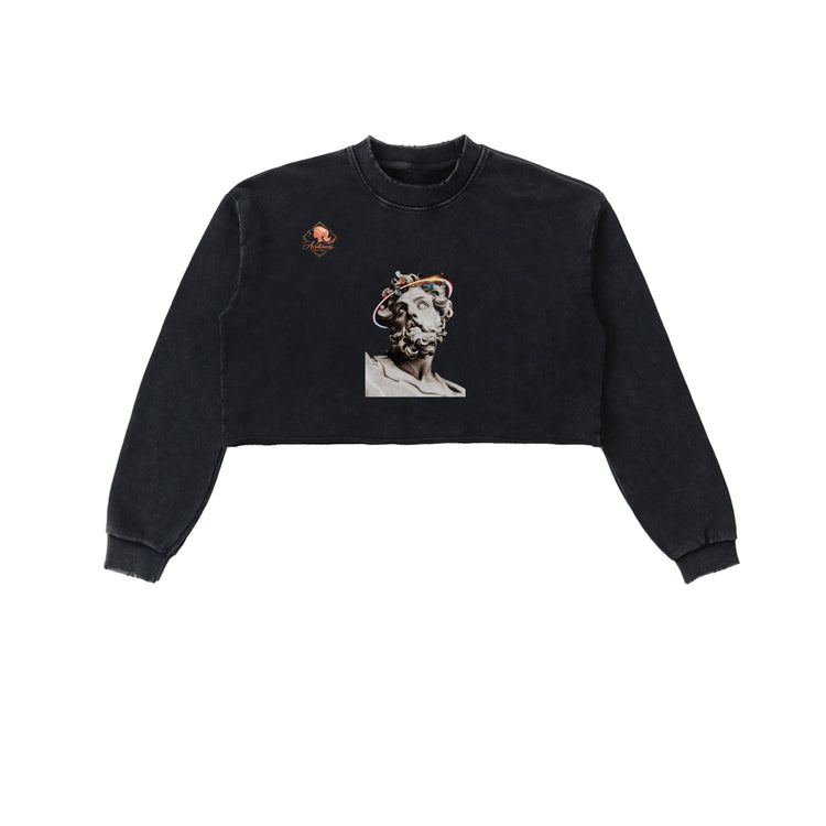 Snow Washed Raw Edge Cropped Sweatshirt
