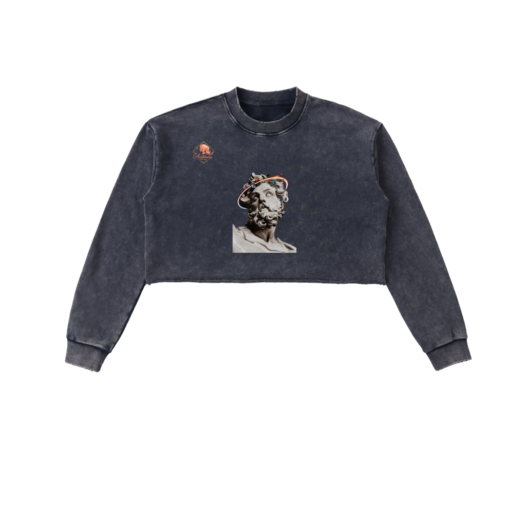 Snow Washed Raw Edge Cropped Sweatshirt
